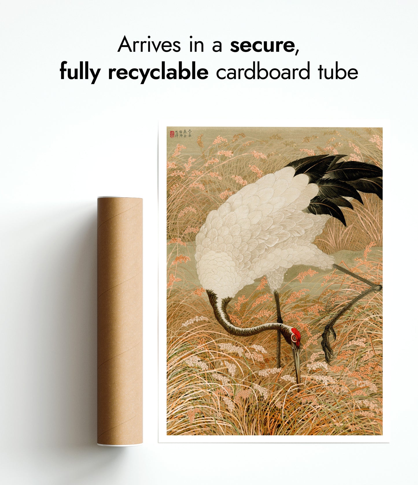 Saruskraanvogel in een rijstveld