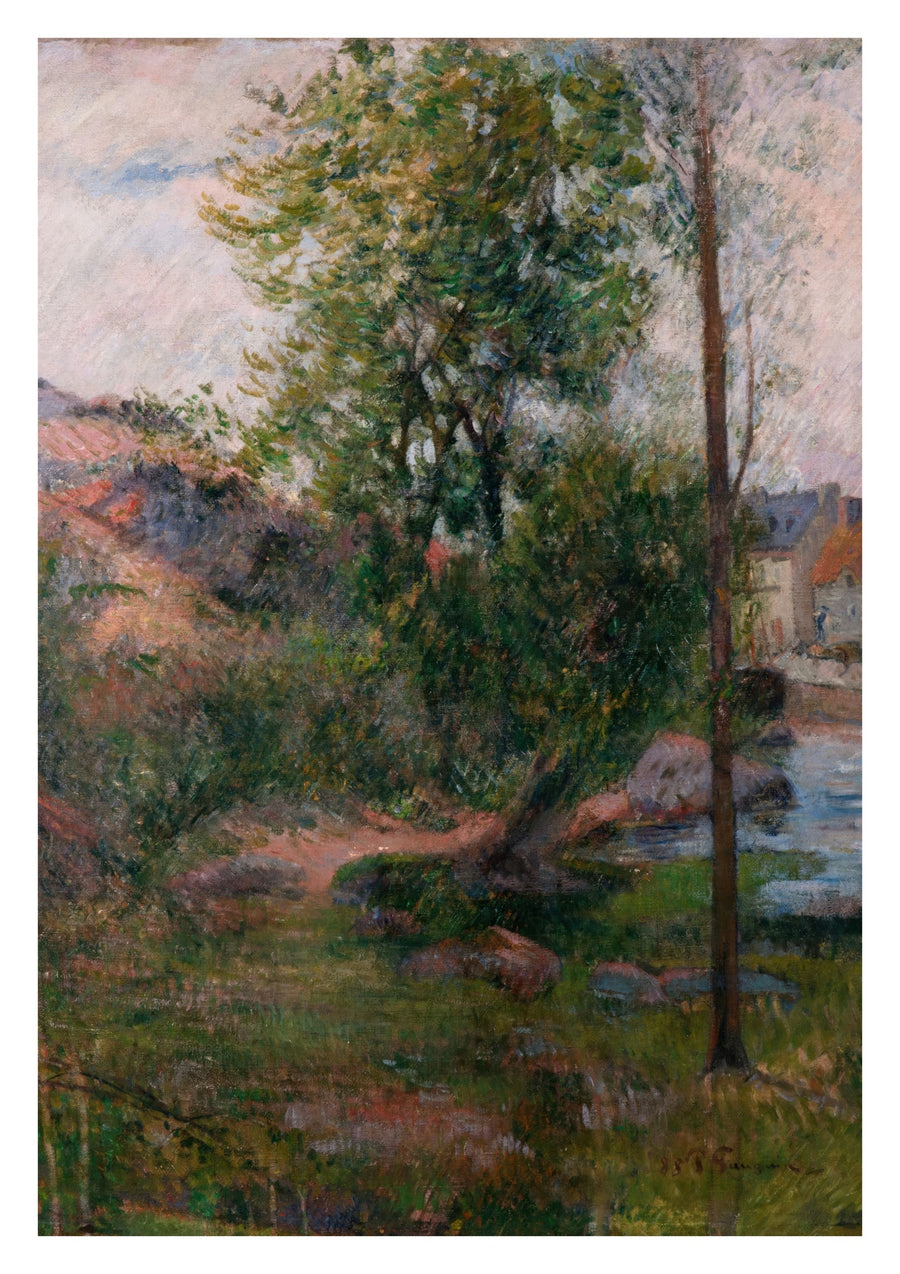 Saule au bord de l'Aven - Print only