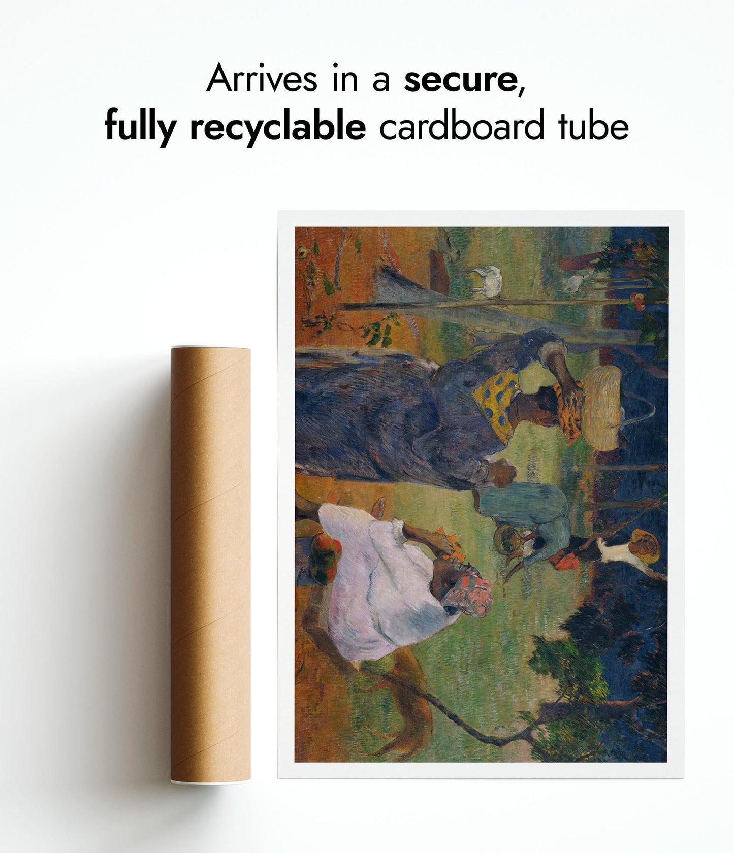 Mangoträd, Martinique