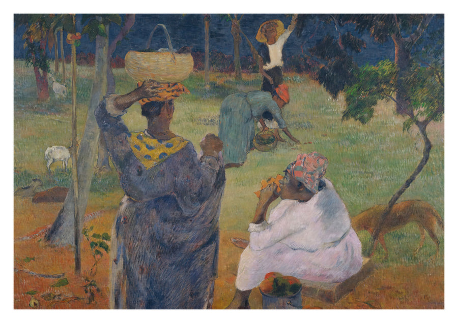 Les Manguiers, Martinique - Print only