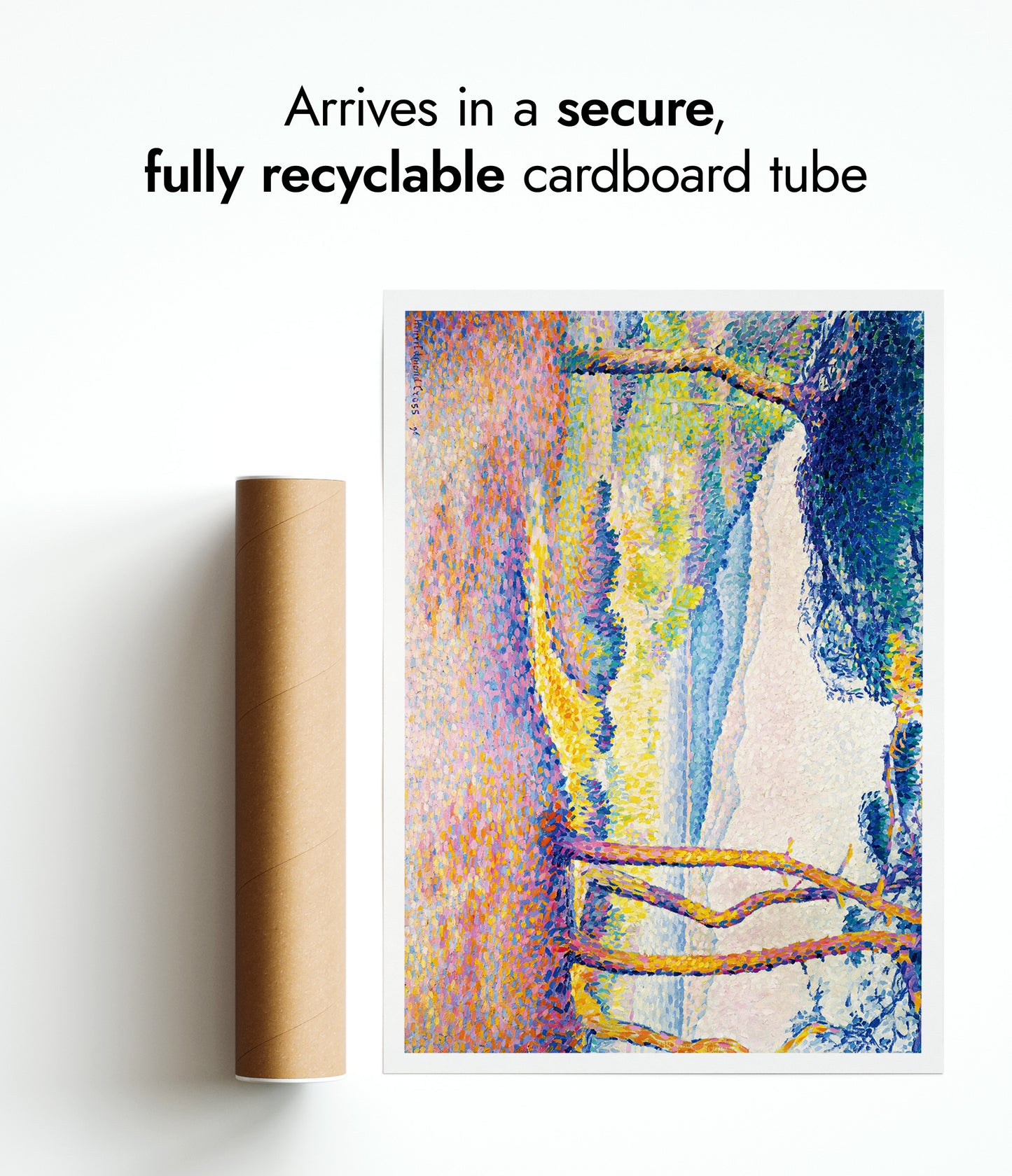 Pines Along the Shore