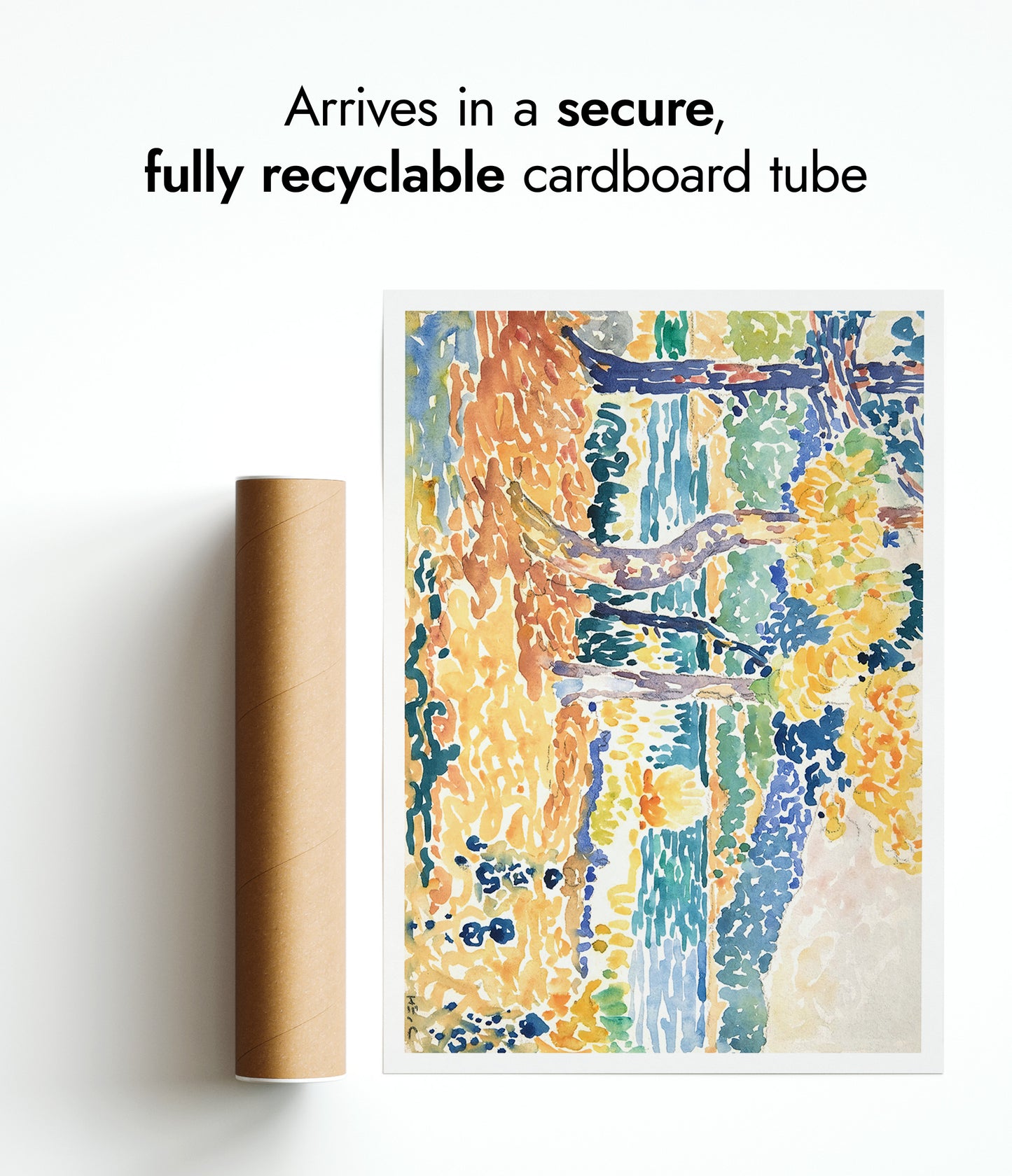 Pines on the Coastline