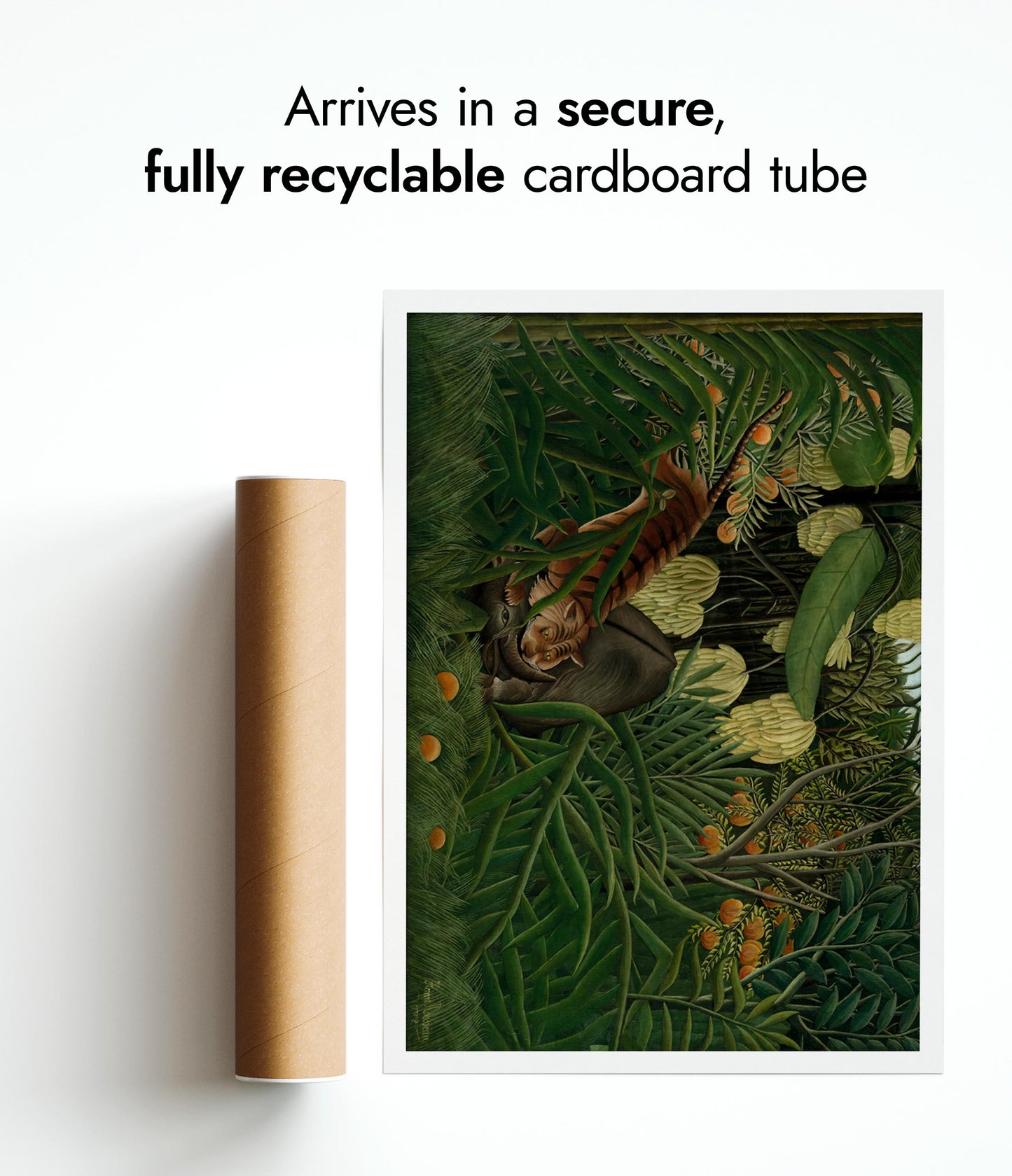 Strid mellan en tiger och en buffel