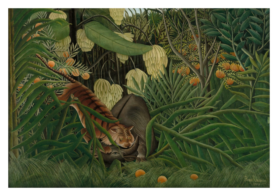 Strid mellan en tiger och en buffel - Print only