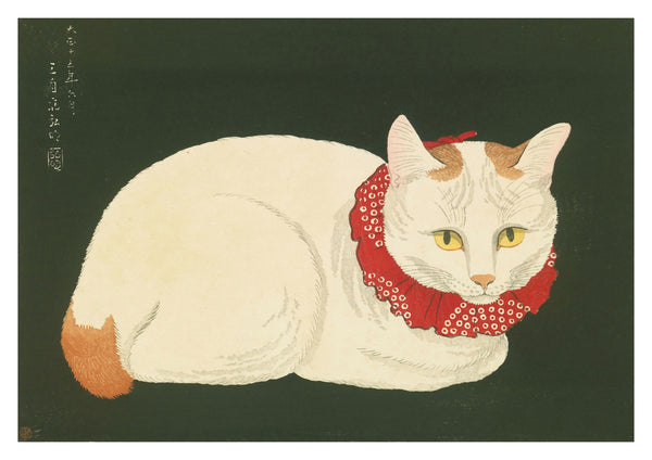 Shironeko (Chat Blanc)