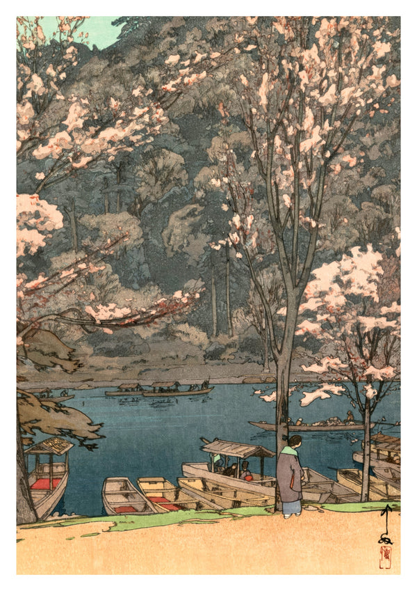 Kirschblüte, Arashiyama