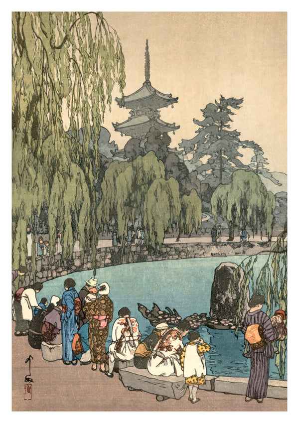 Karpfen & Schildkröten