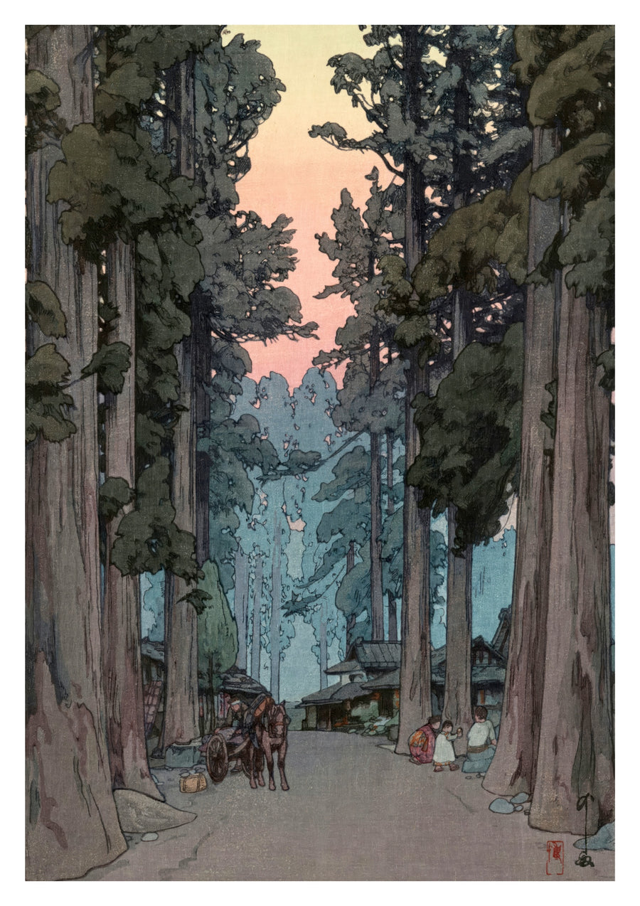 Cryptomeria Avenue - Print only