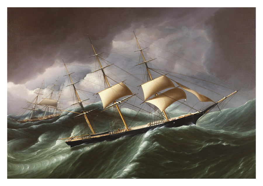 Clipperschiff Warner umrundet Kap Hoorn - Print only