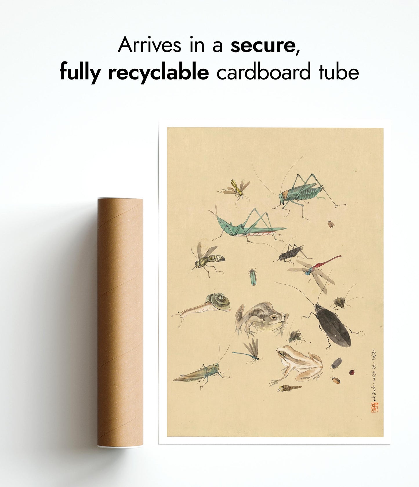 Kikkers, Slakken en Insecten