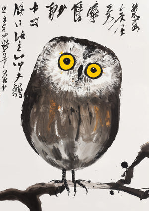 Owl