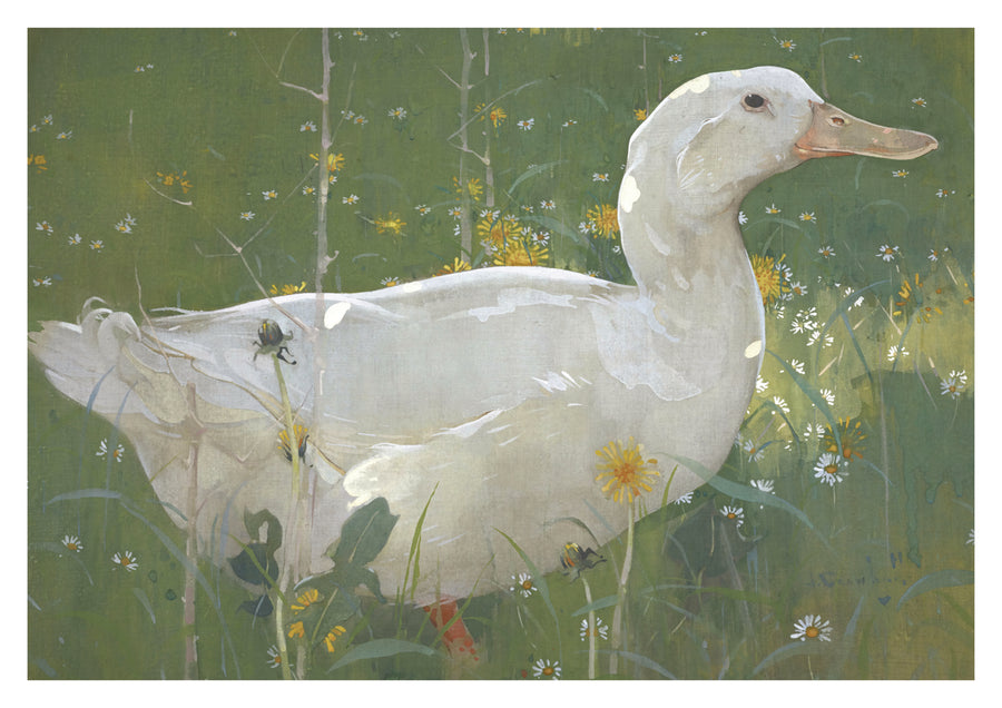 De Witte Draak - Print only
