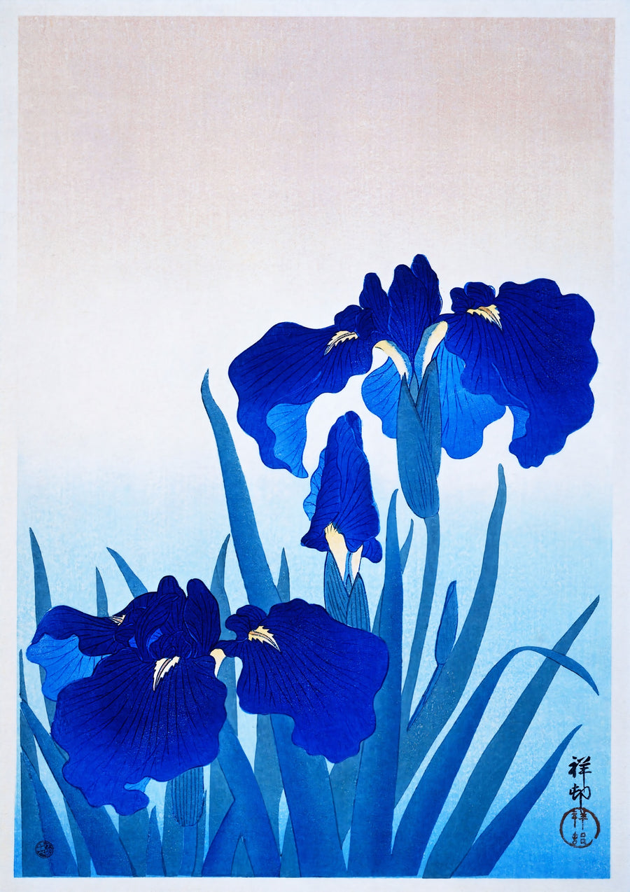 Irisbloemen - Print only