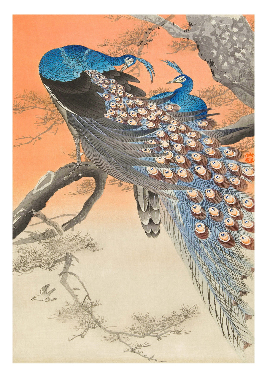 Twee Pauwen - Print only