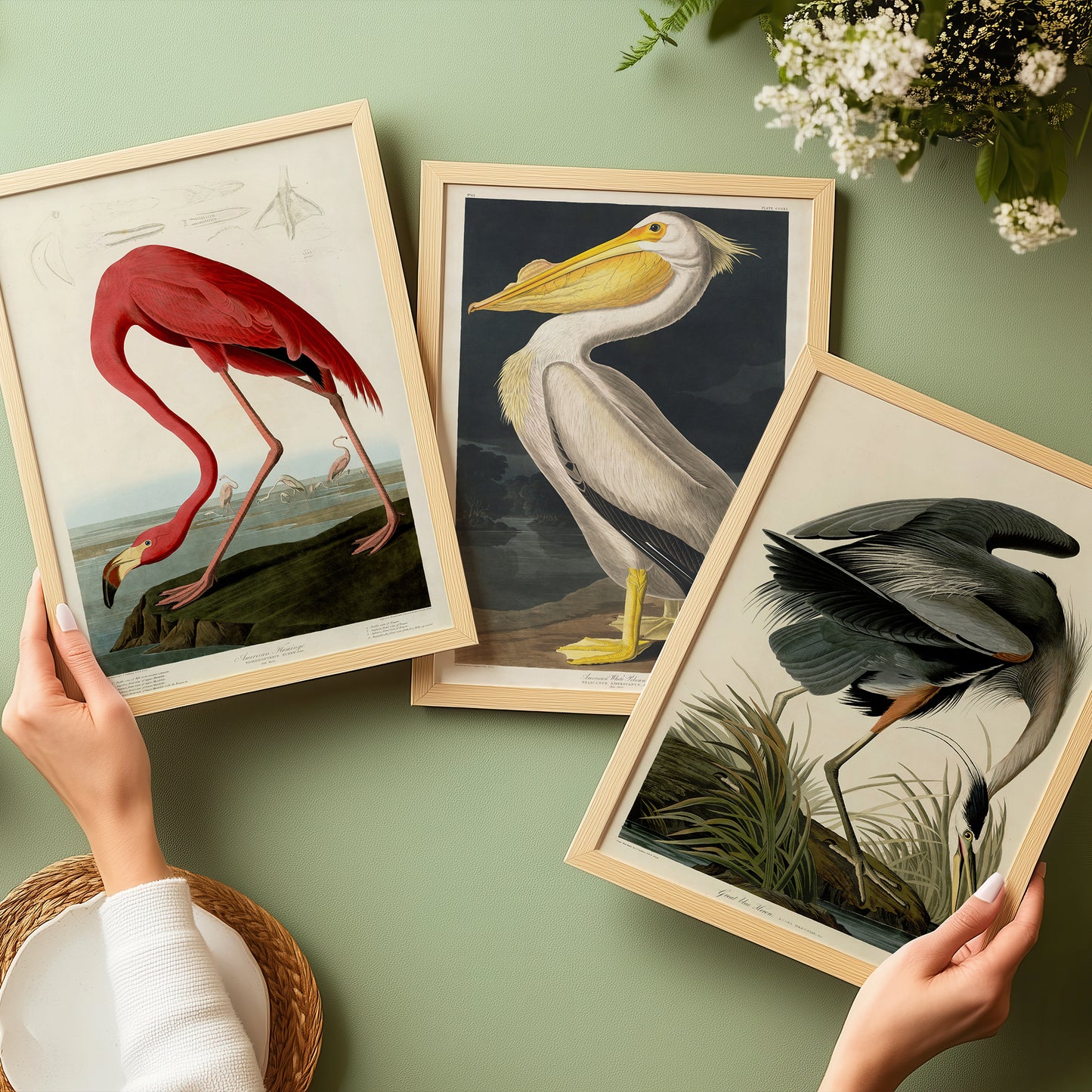 J.J. Audobon Triptych