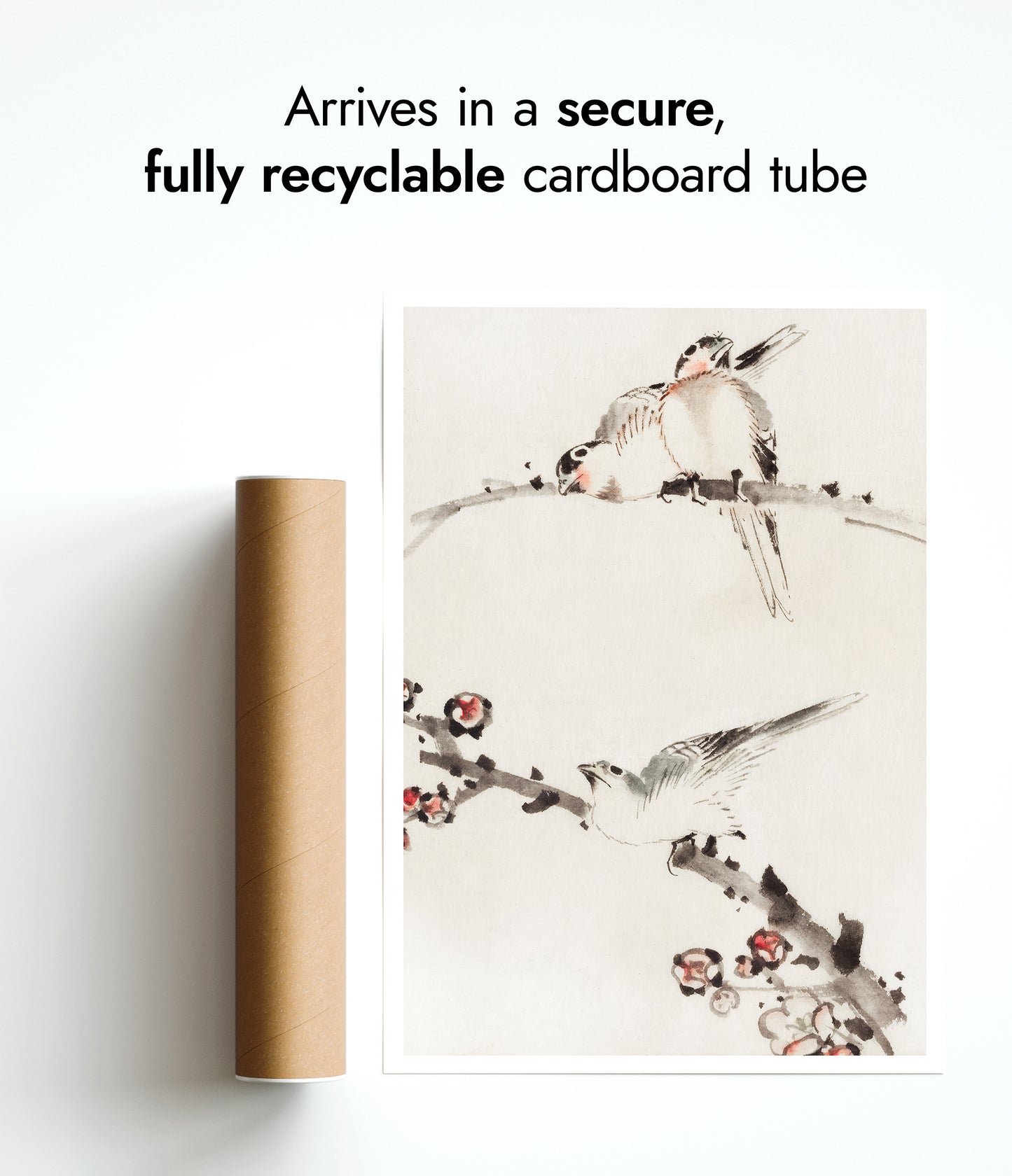 Three Birds Perched on Branches