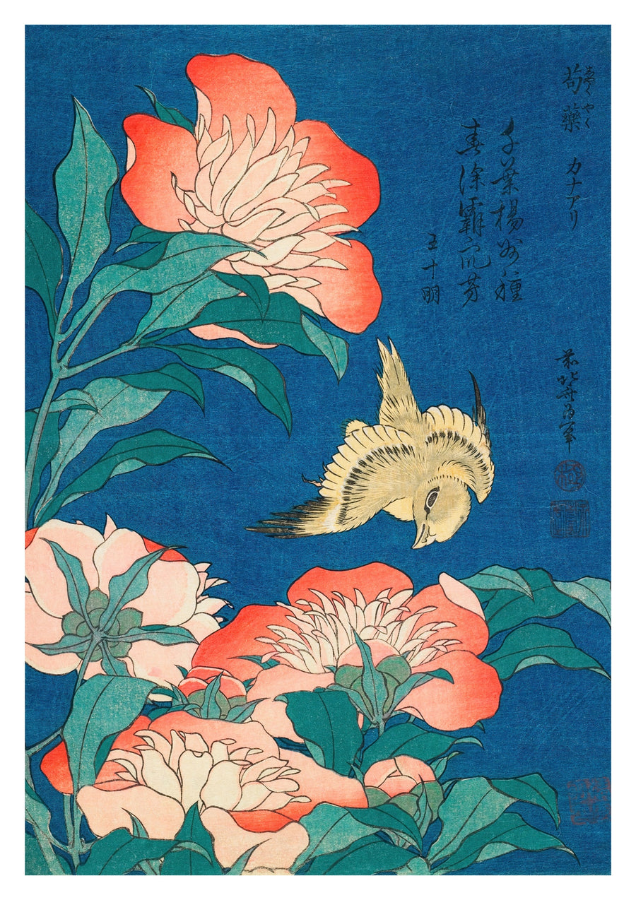 Peonies and Canary - Print only