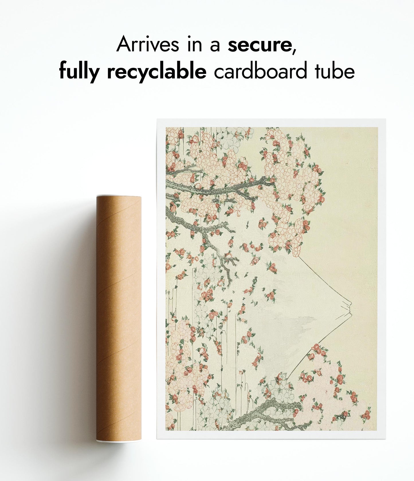 Fuji & Cherry Blossom