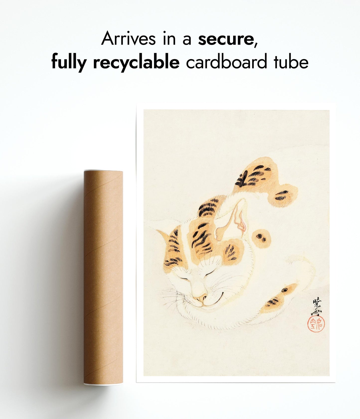 Japanese Sleeping Cat