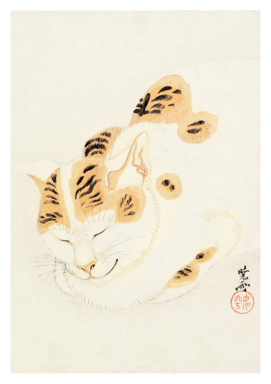 Japanische schlafende Katze - Print only
