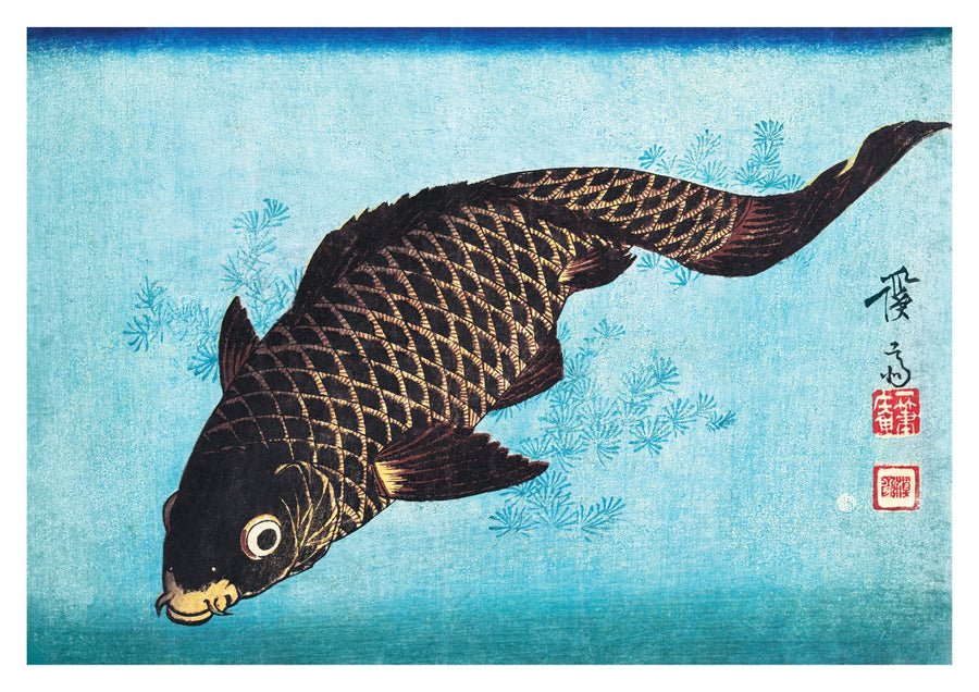 Koi - Print only