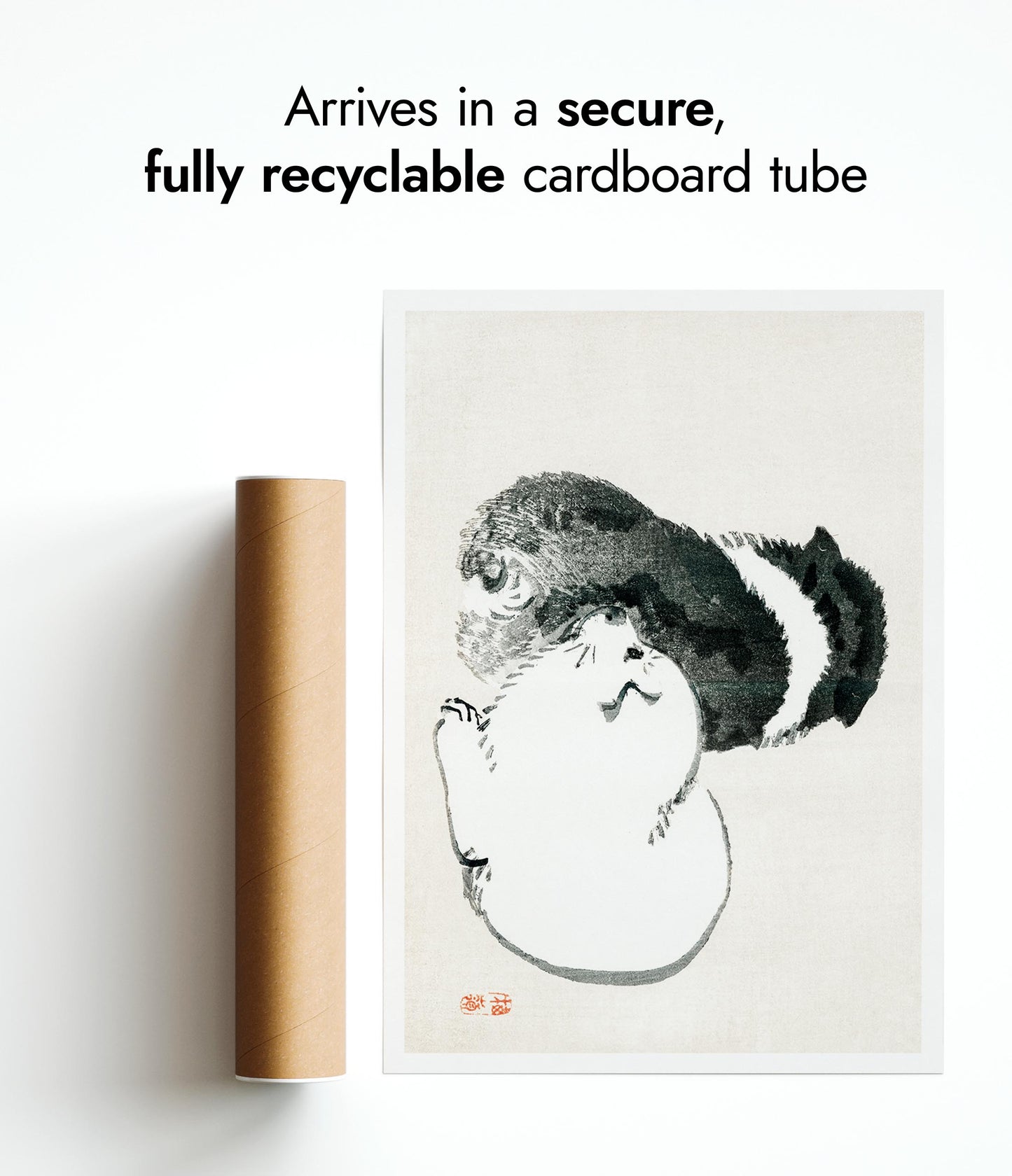 Black & White Puppies