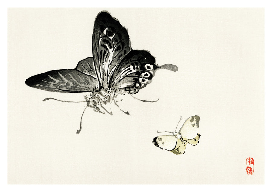 Vlinders - Print only