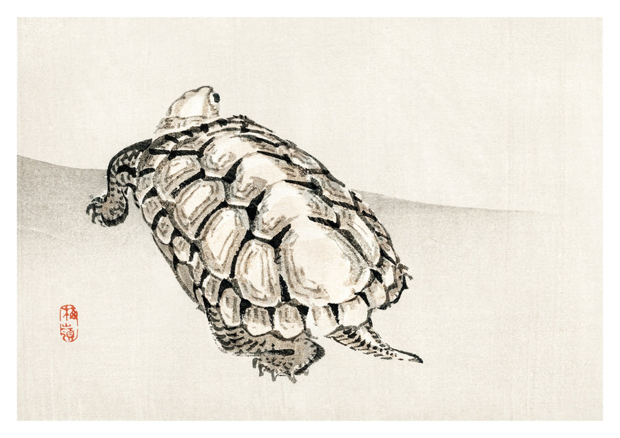 Turtle - Print only