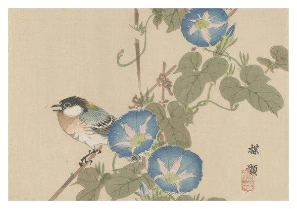 Vogel & Ochtendglorie