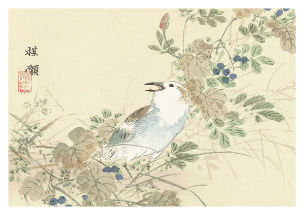 Vogel tussen de herfstgrassen