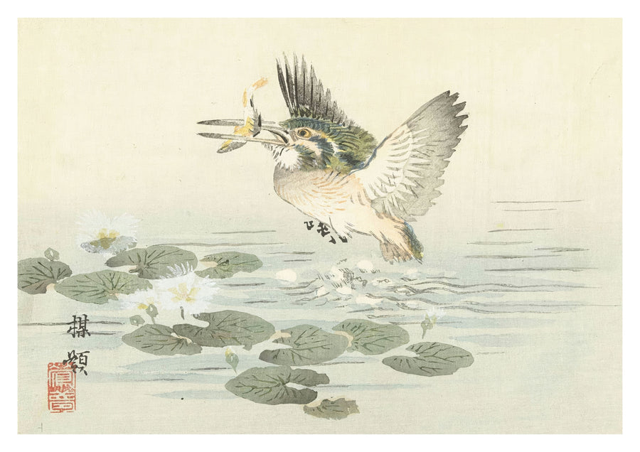IJsvogel - Print only