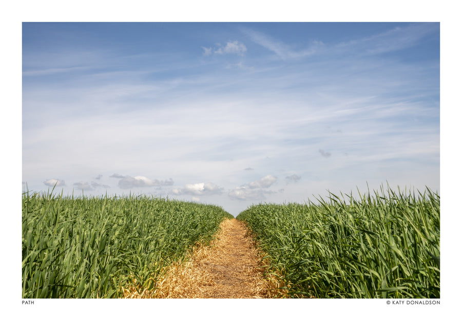 Path - Print only