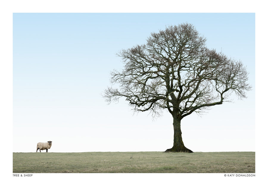 Tree & Sheep - Print only