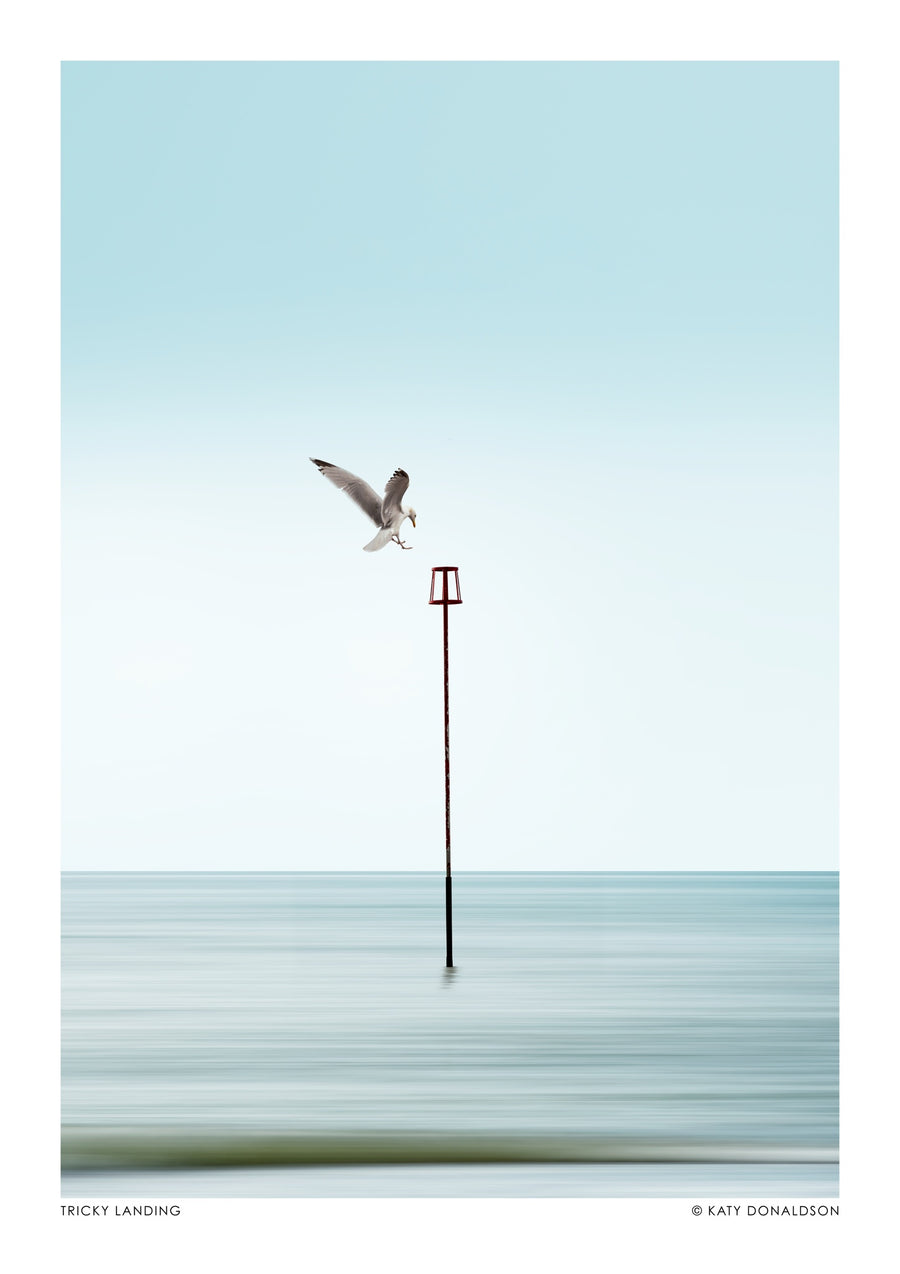 Lastige Landing - Print only