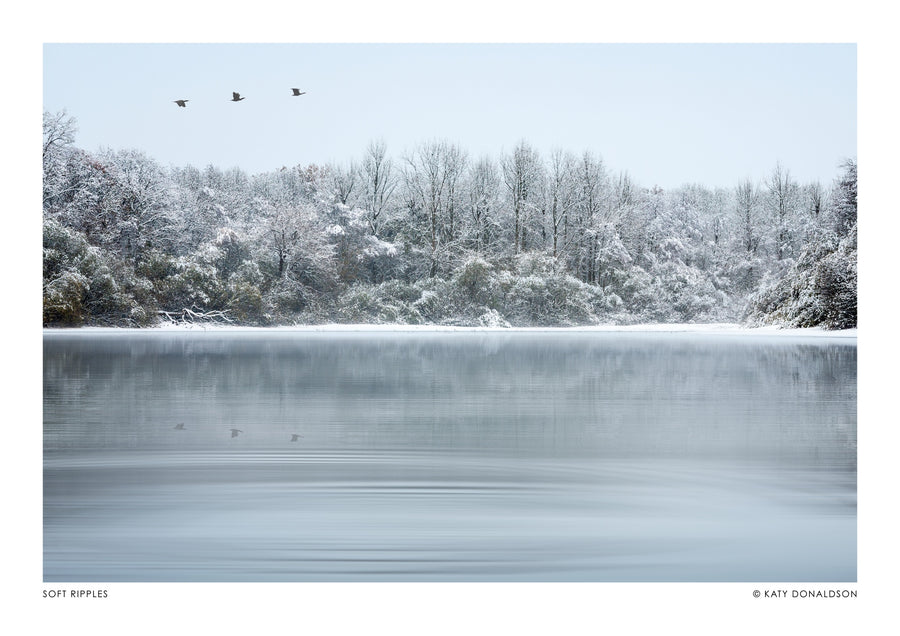 Ondulations Douces - Print only