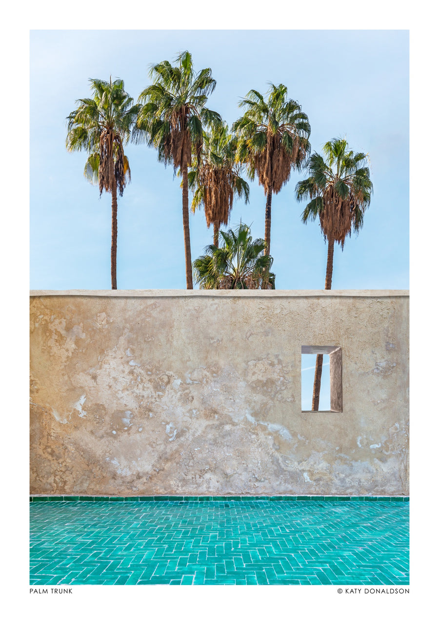 Palmstam - Print only
