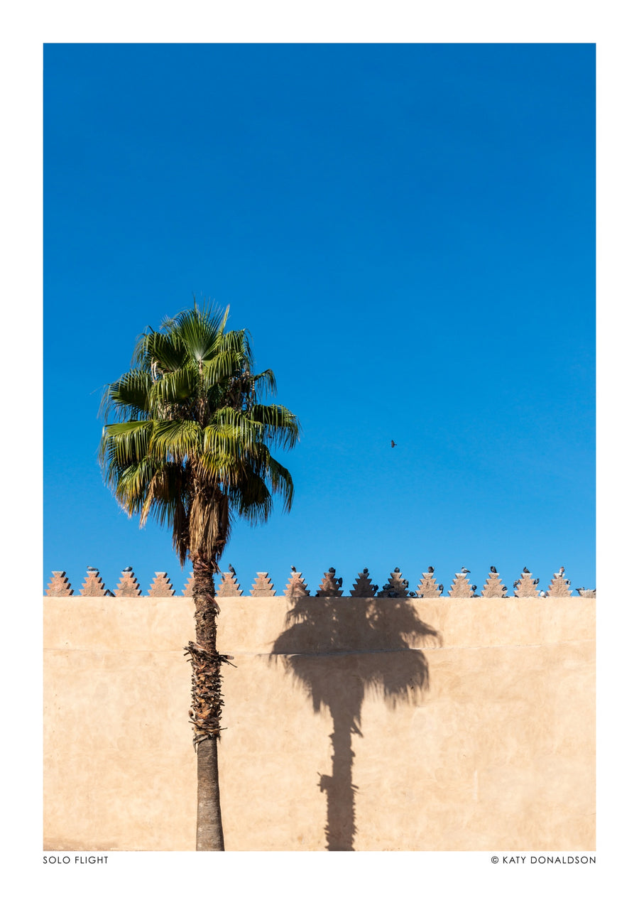 Solo Flight - Print only