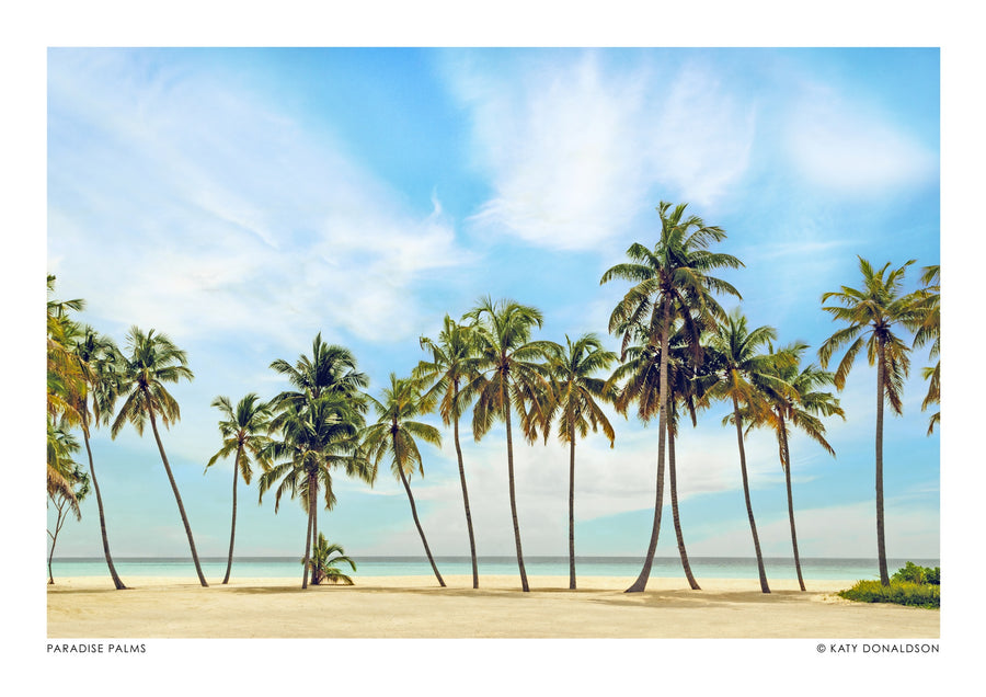 Paradise Palms - Print only
