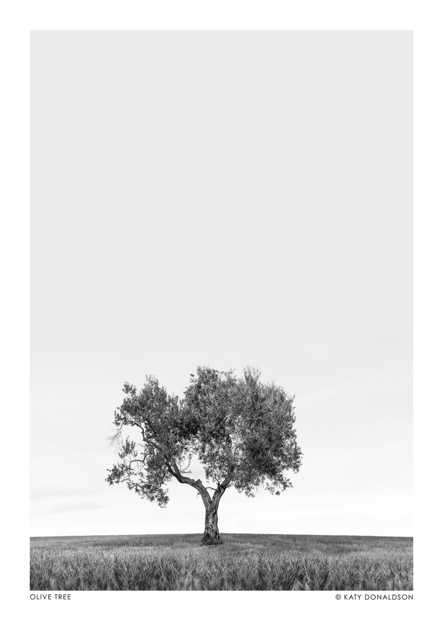 Olive Tree - Print only