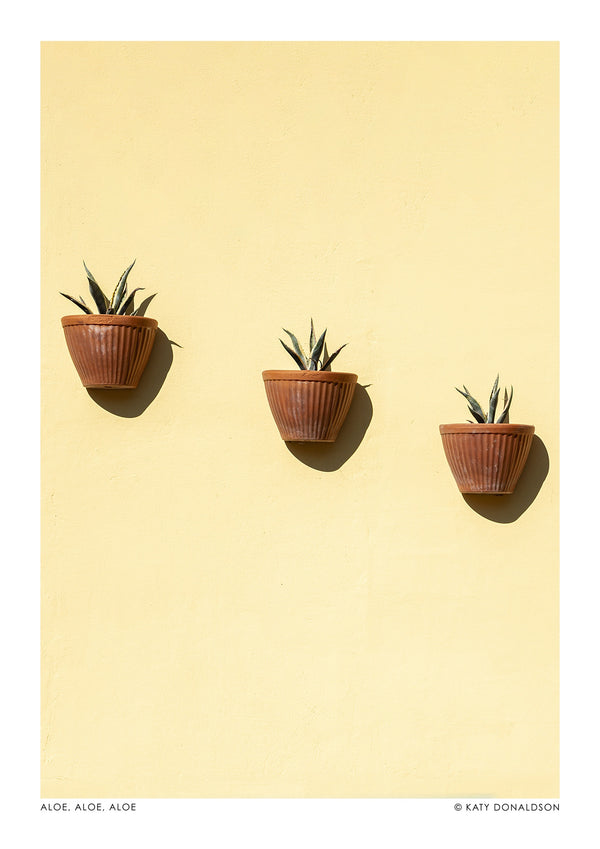 Aloe, Aloe, Aloe Porträtt