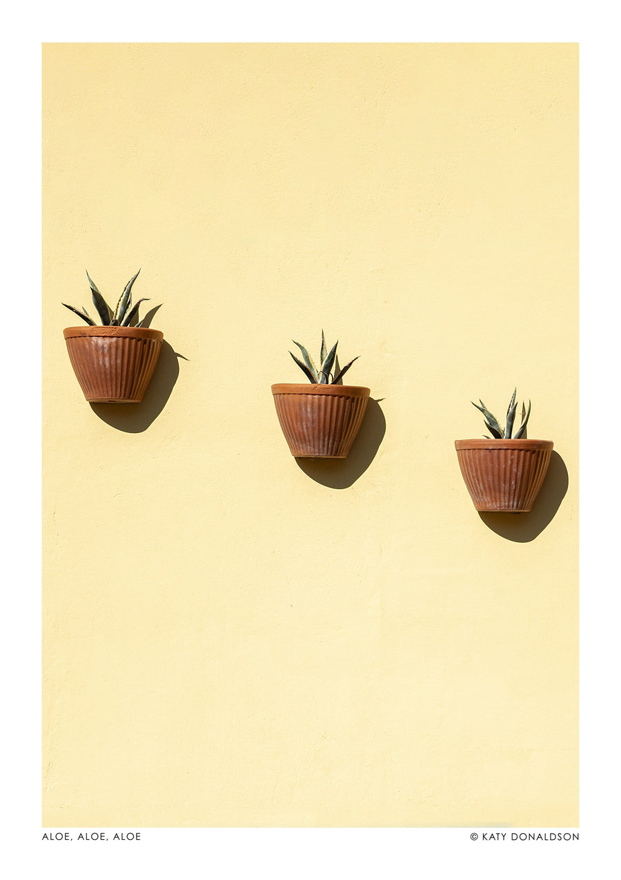 Aloe, Aloe, Aloe Porträtt - Print only