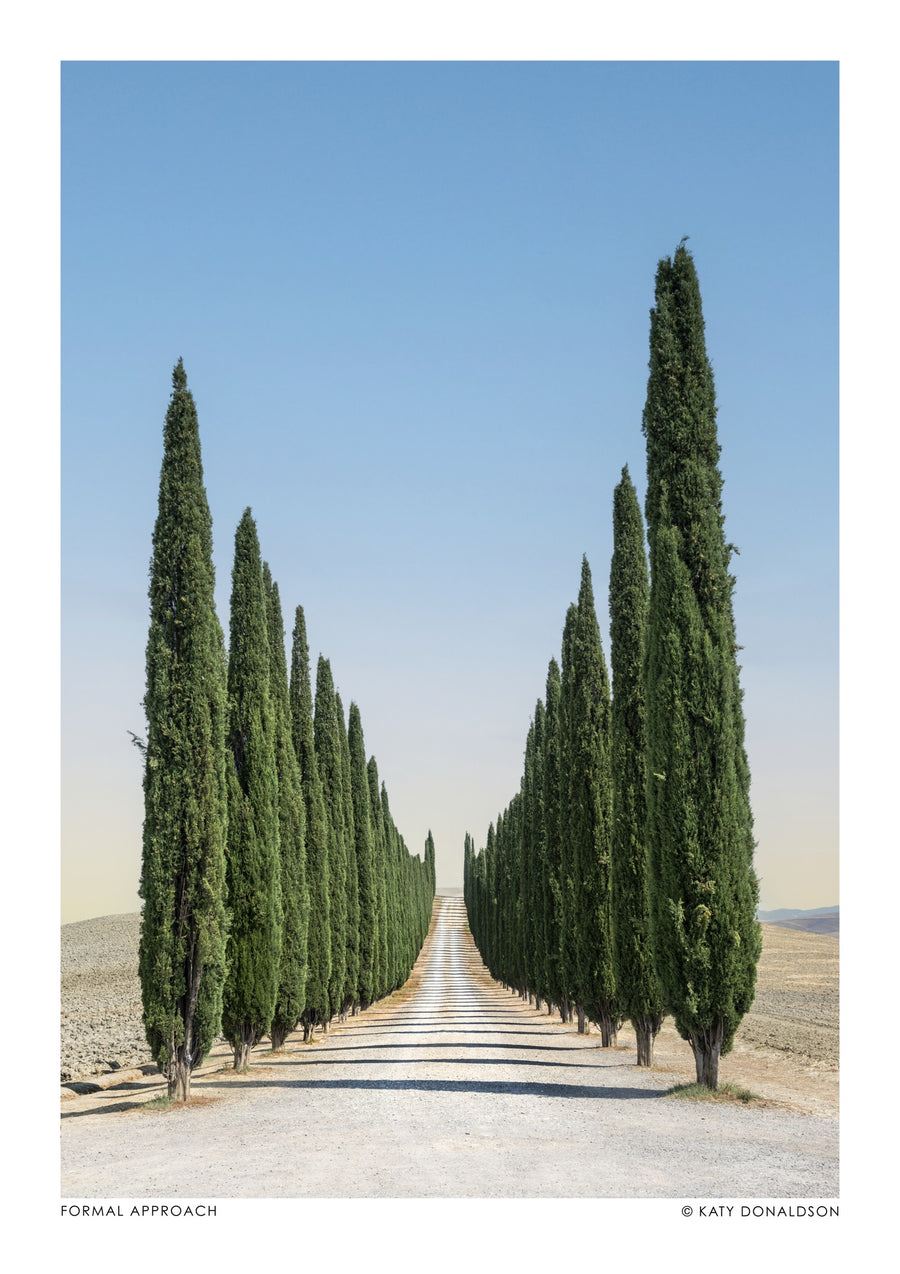 Formal Approach Portrait - Print only