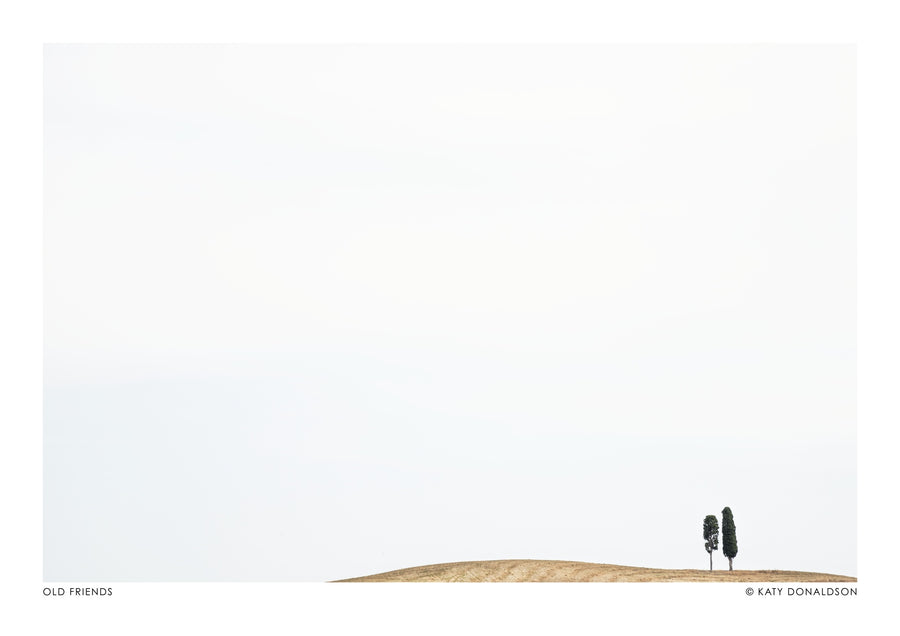 Old Friends Landscape - Print only
