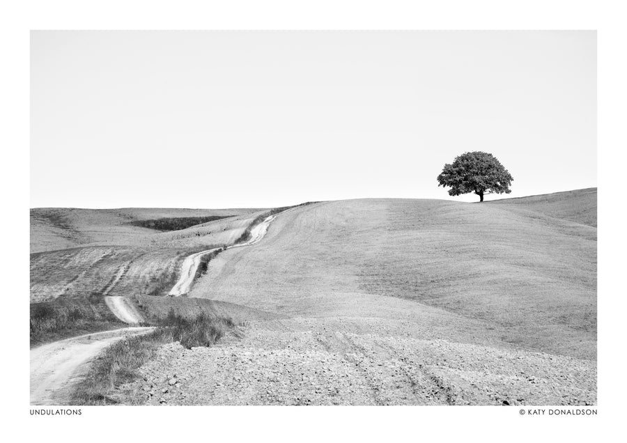 Undulations Landscape - Print only