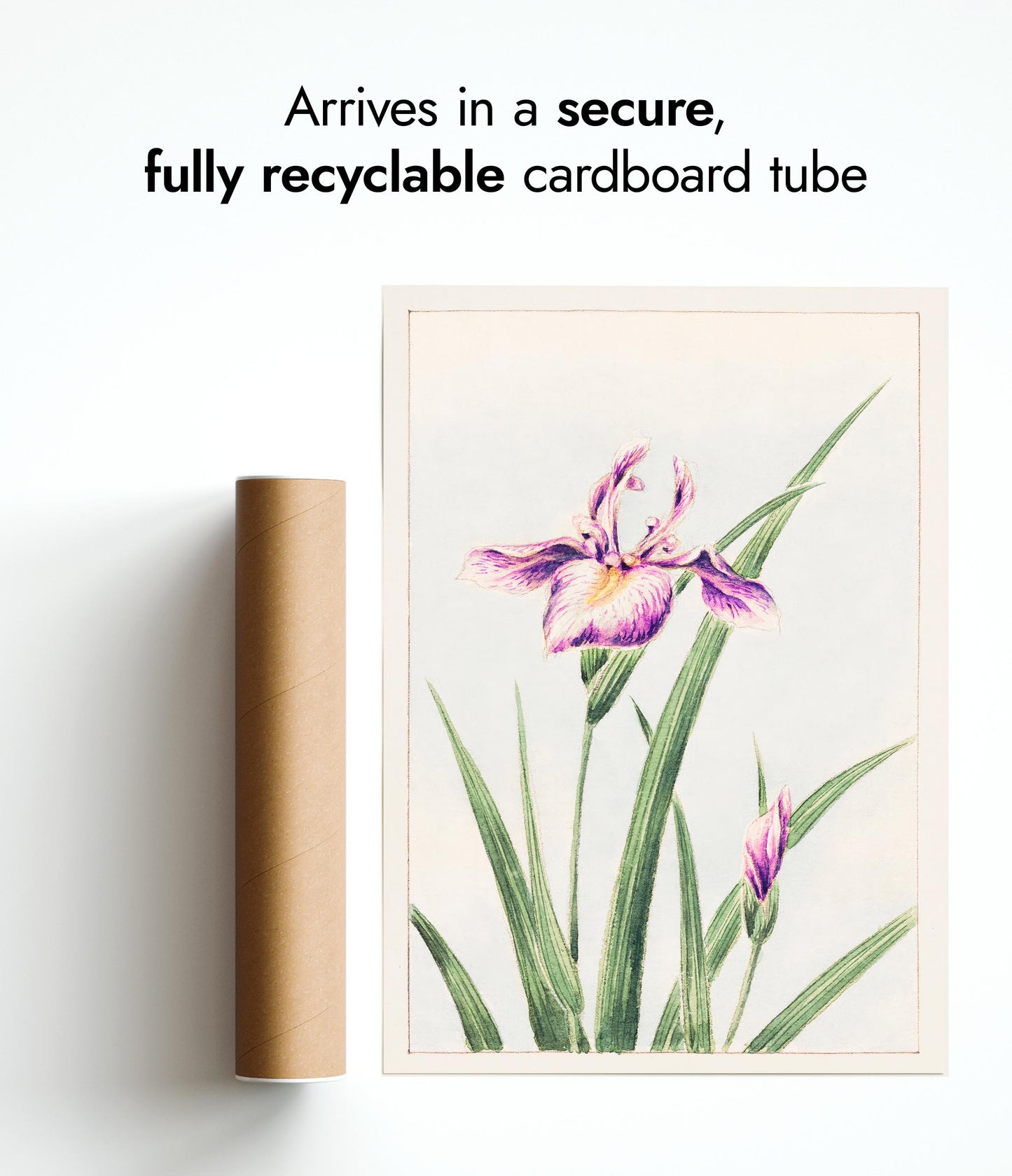 Hanazuma från Hyogoya