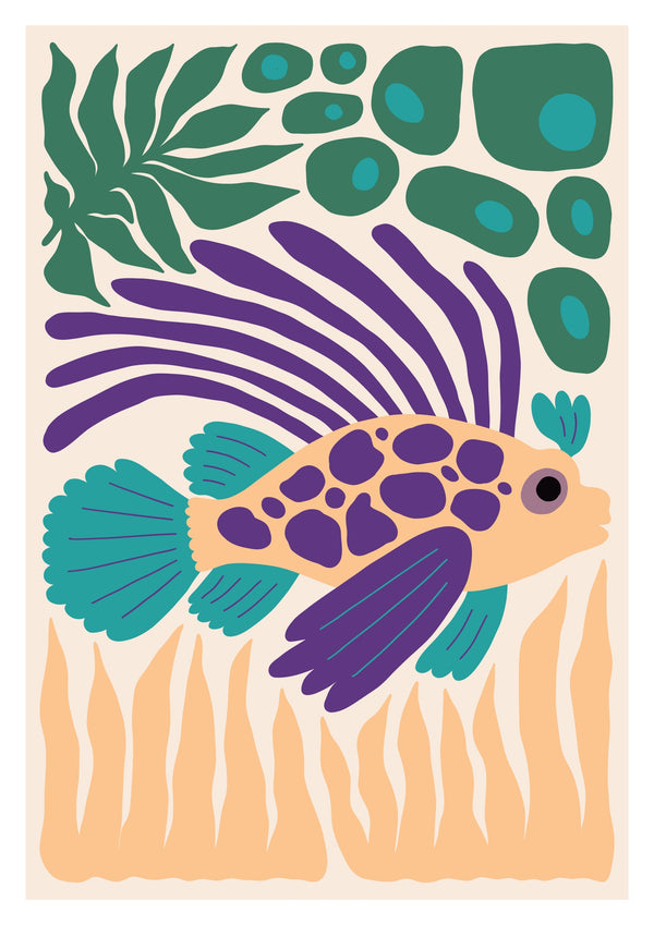 Poisson combattant