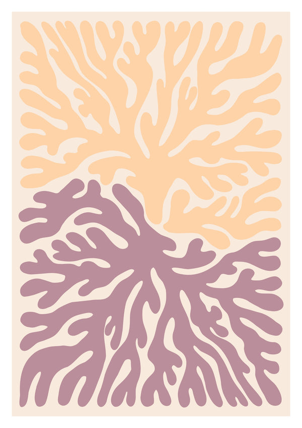 Corail