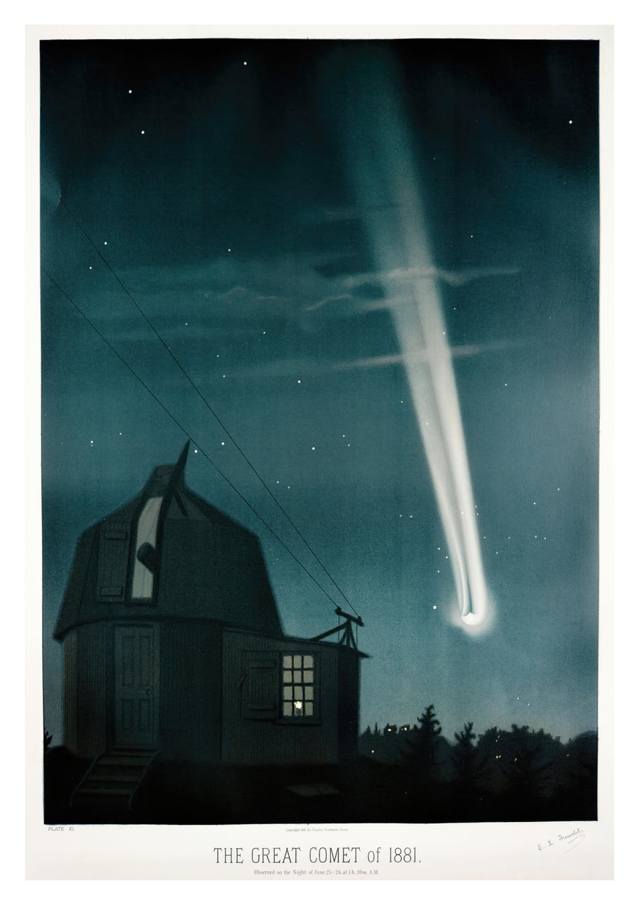 The Great Comet of 1881 - Print only