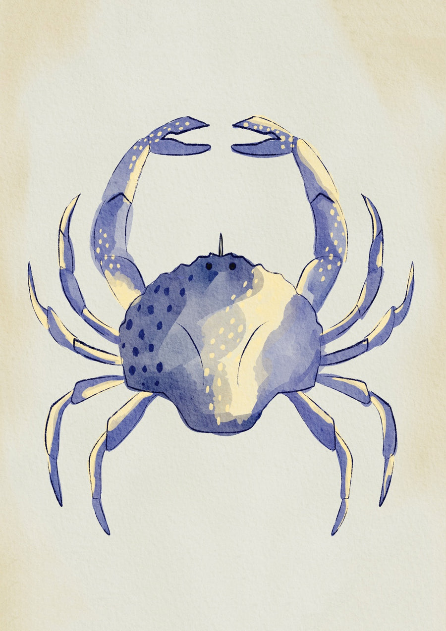 Blue Crab - Print only