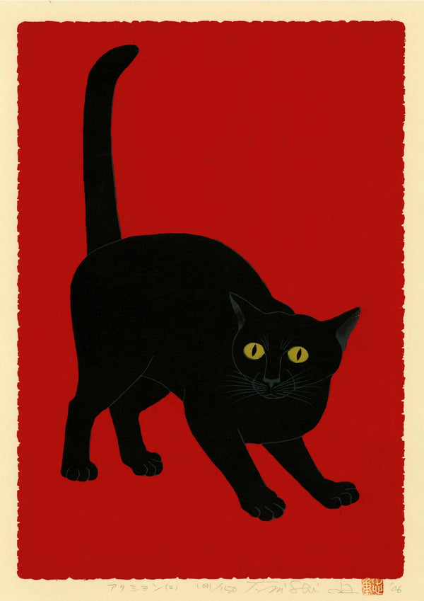 Chat noir sur rouge